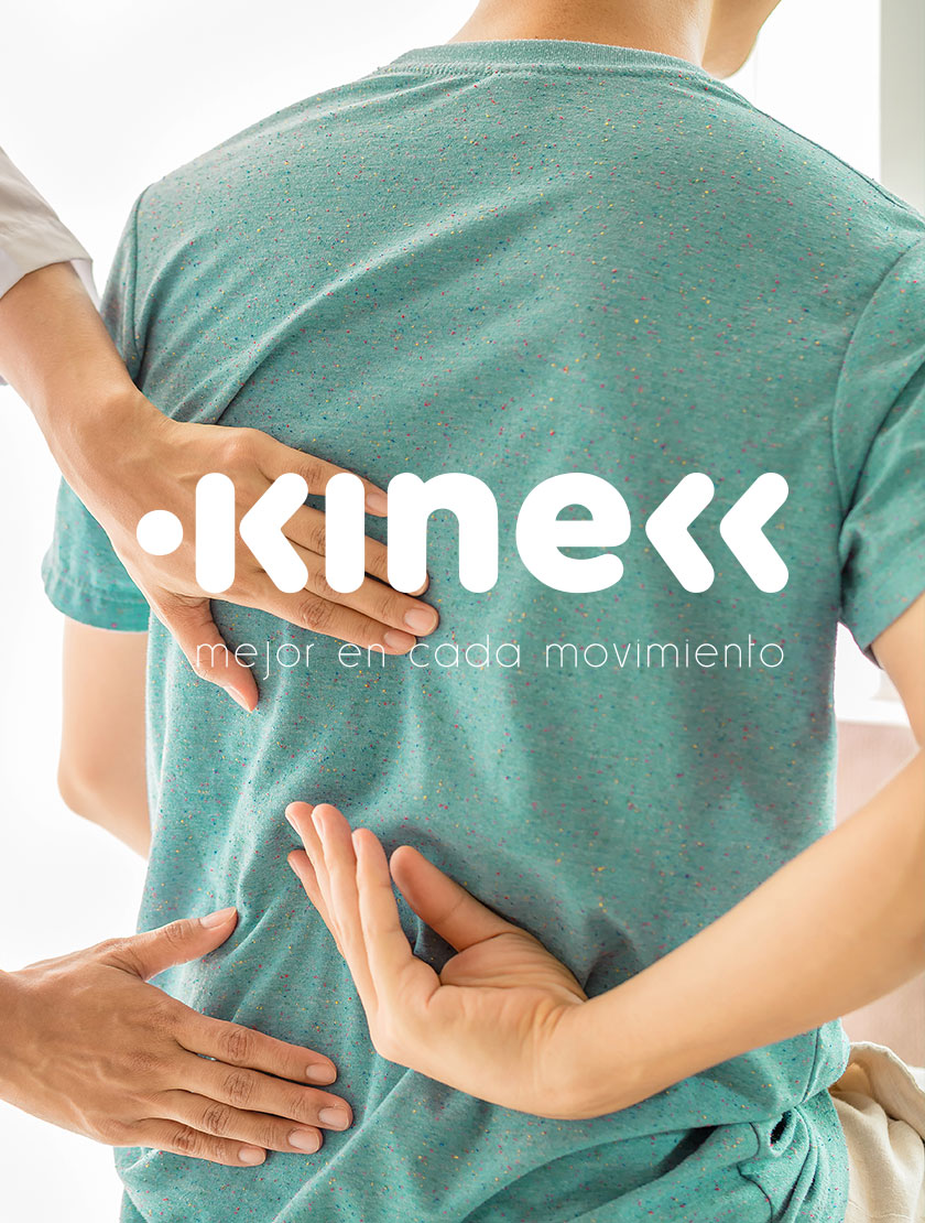 prymario_web_kinecc_07