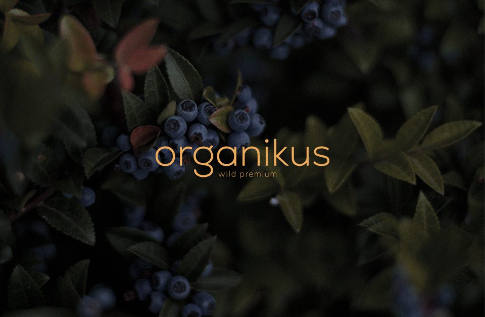 prymario_web_organikus_01