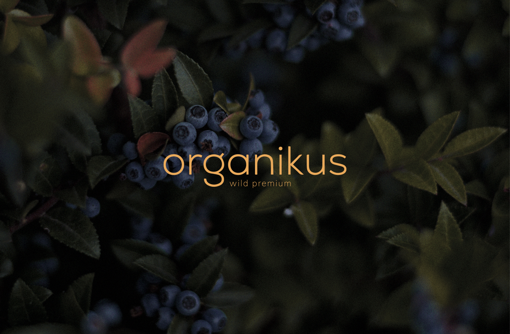 prymario_web_organikus_01