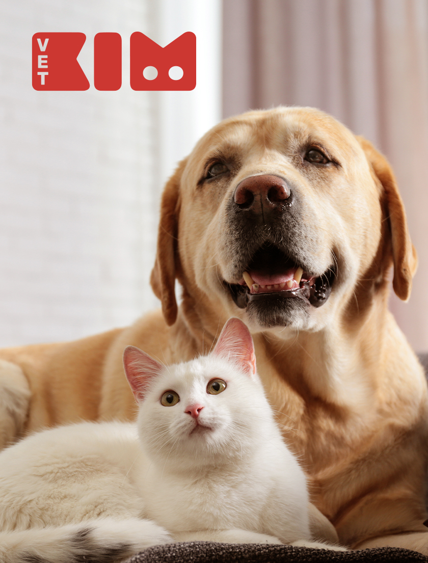 prymario_web_vetkim_05