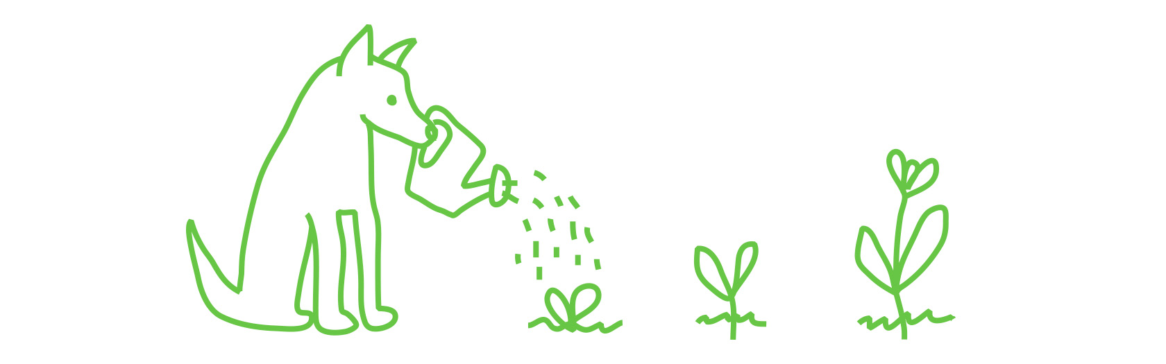 prymario_web_kiltro_02 copia